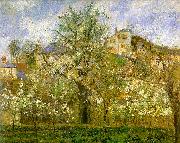 Camille Pissaro Kitchen Garden with Trees in Flower, Pontoise oil painting artist